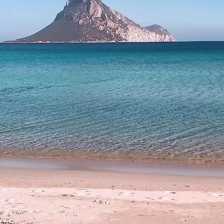 Almasarda