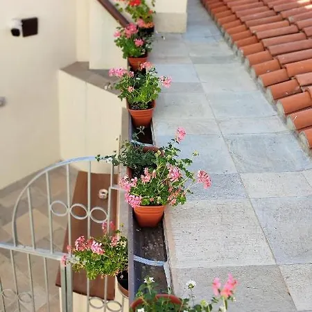 Almasarda Olbia