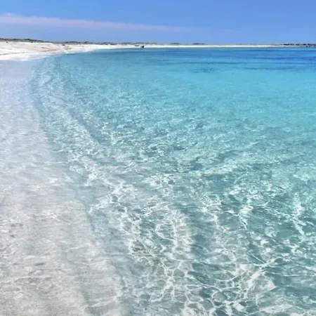 Πανσιόν Almasarda Όλμπια